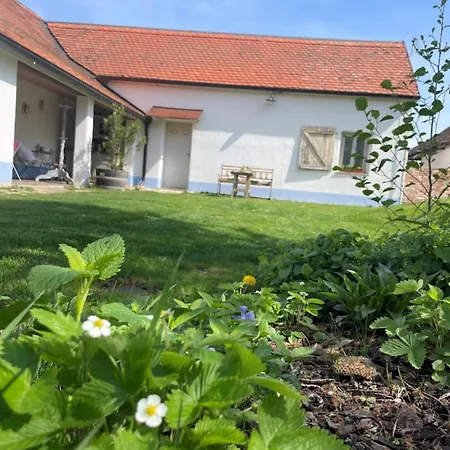 Pastuška Brod nad Dyji